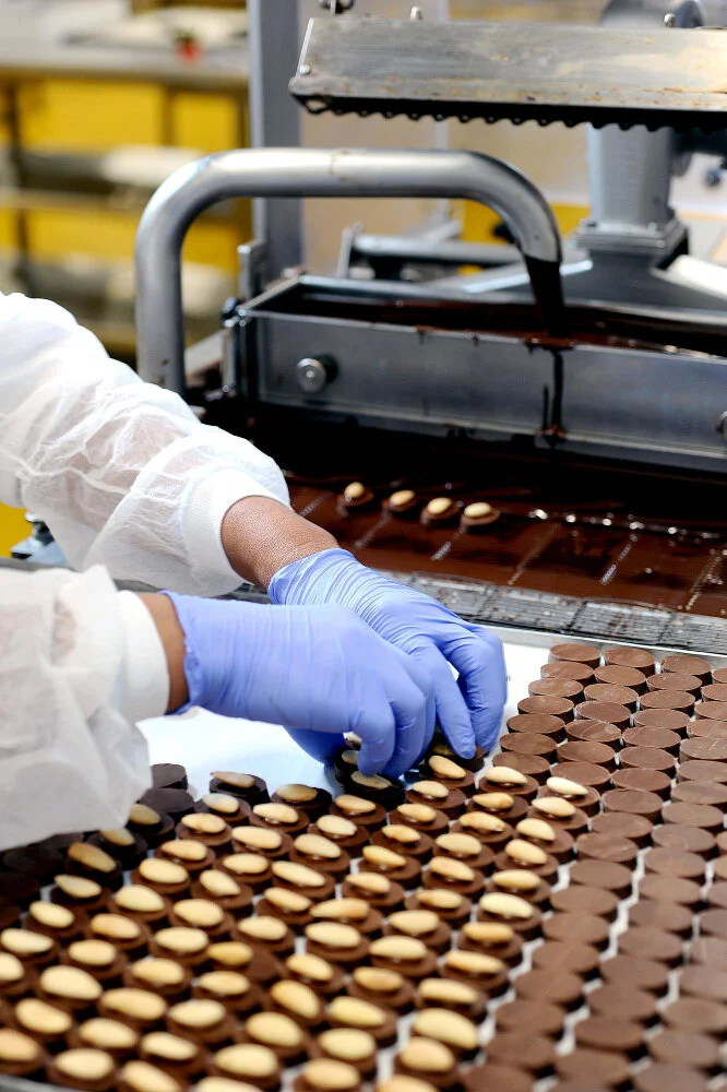 Food and beverage line with technician arranging chocolates